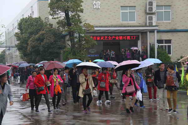 杭州亞運會官方靈芝產(chǎn)品供應商|杭州亞運會官方供應商|中國靈芝十大品牌|仙客來靈芝|仙客來靈芝破壁孢子粉|仙客來孢子油|仙客來靈芝飲片|仙客來破壁孢子粉|靈芝孢子油|孢子粉|靈芝破壁孢子粉|靈芝|中華老字號