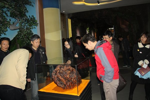 杭州亞運會官方靈芝產(chǎn)品供應商|杭州亞運會官方供應商|中國靈芝十大品牌|仙客來靈芝|仙客來靈芝破壁孢子粉|仙客來孢子油|仙客來靈芝飲片|仙客來破壁孢子粉|靈芝孢子油|孢子粉|靈芝破壁孢子粉|靈芝|中華老字號