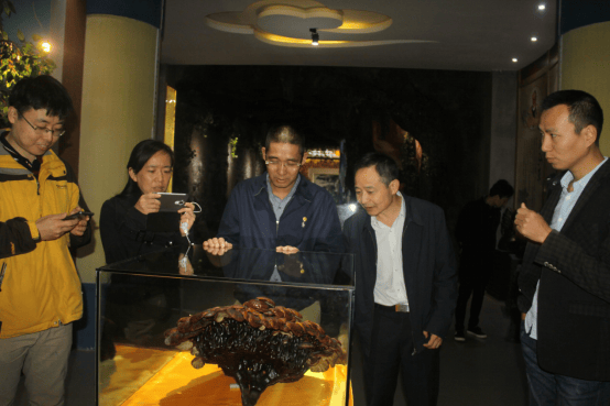 杭州亞運會官方靈芝產(chǎn)品供應商|杭州亞運會官方供應商|中國靈芝十大品牌|仙客來靈芝|仙客來靈芝破壁孢子粉|仙客來孢子油|仙客來靈芝飲片|仙客來破壁孢子粉|靈芝孢子油|孢子粉|靈芝破壁孢子粉|靈芝|中華老字號