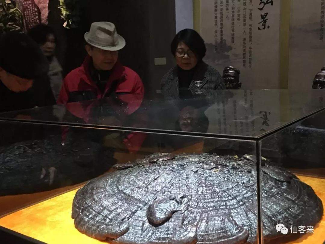 中國(guó)靈芝十大品牌|仙客來靈芝|仙客來靈芝破壁孢子粉|仙客來孢子油|仙客來靈芝飲片|仙客來破壁孢子粉|仙客來靈芝中藥飲片|馳名商標(biāo)|www.stephenmgreenarchives.com|