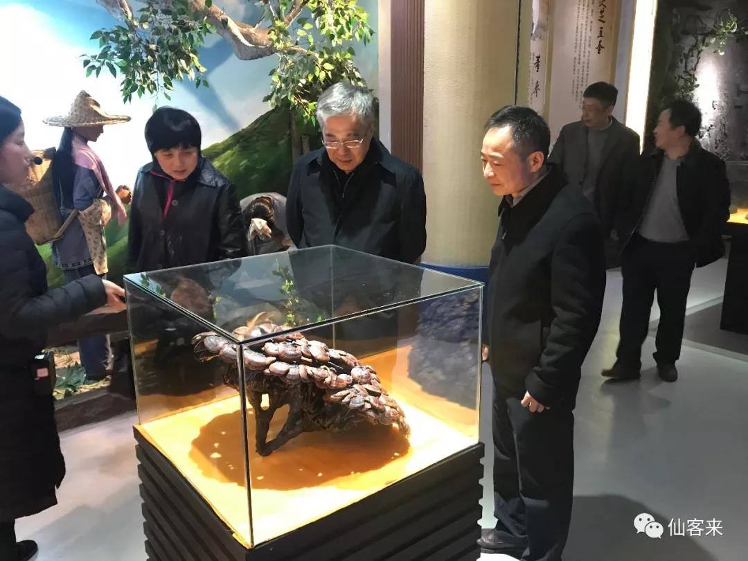 中國靈芝十大品牌|仙客來靈芝|仙客來靈芝破壁孢子粉|仙客來孢子油|仙客來靈芝飲片|仙客來破壁孢子粉|仙客來靈芝中藥飲片|馳名商標(biāo)|www.stephenmgreenarchives.com|