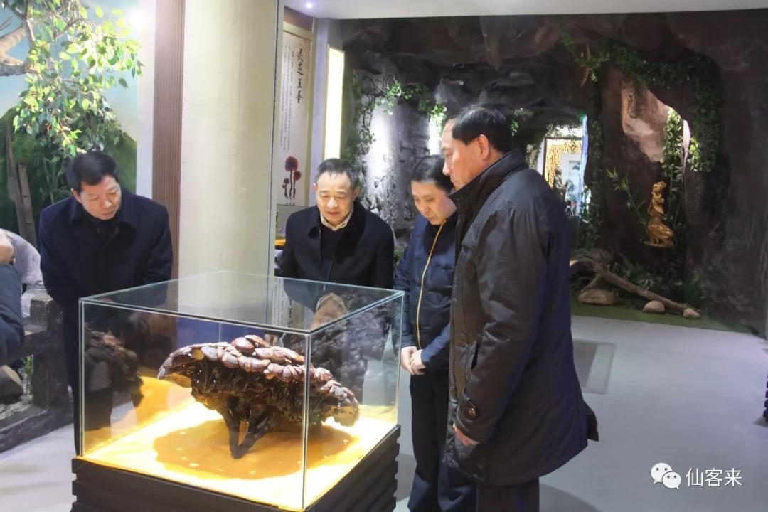 中國靈芝十大品牌|仙客來靈芝|仙客來靈芝破壁孢子粉|仙客來孢子油|仙客來靈芝飲片|仙客來破壁孢子粉|仙客來靈芝中藥飲片|馳名商標(biāo)|www.stephenmgreenarchives.com|