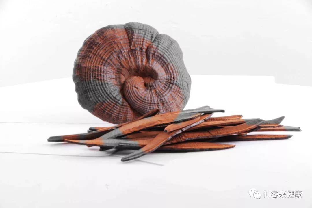 中國靈芝十大品牌|仙客來靈芝|仙客來靈芝破壁孢子粉|仙客來孢子油|仙客來靈芝飲片|仙客來破壁孢子粉|仙客來靈芝中藥飲片|馳名商標(biāo)|www.stephenmgreenarchives.com|