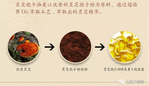 中國靈芝十大品牌|仙客來靈芝|仙客來靈芝破壁孢子粉|仙客來孢子油|仙客來靈芝飲片|仙客來破壁孢子粉|仙客來靈芝中藥飲片|馳名商標(biāo)|www.stephenmgreenarchives.com|