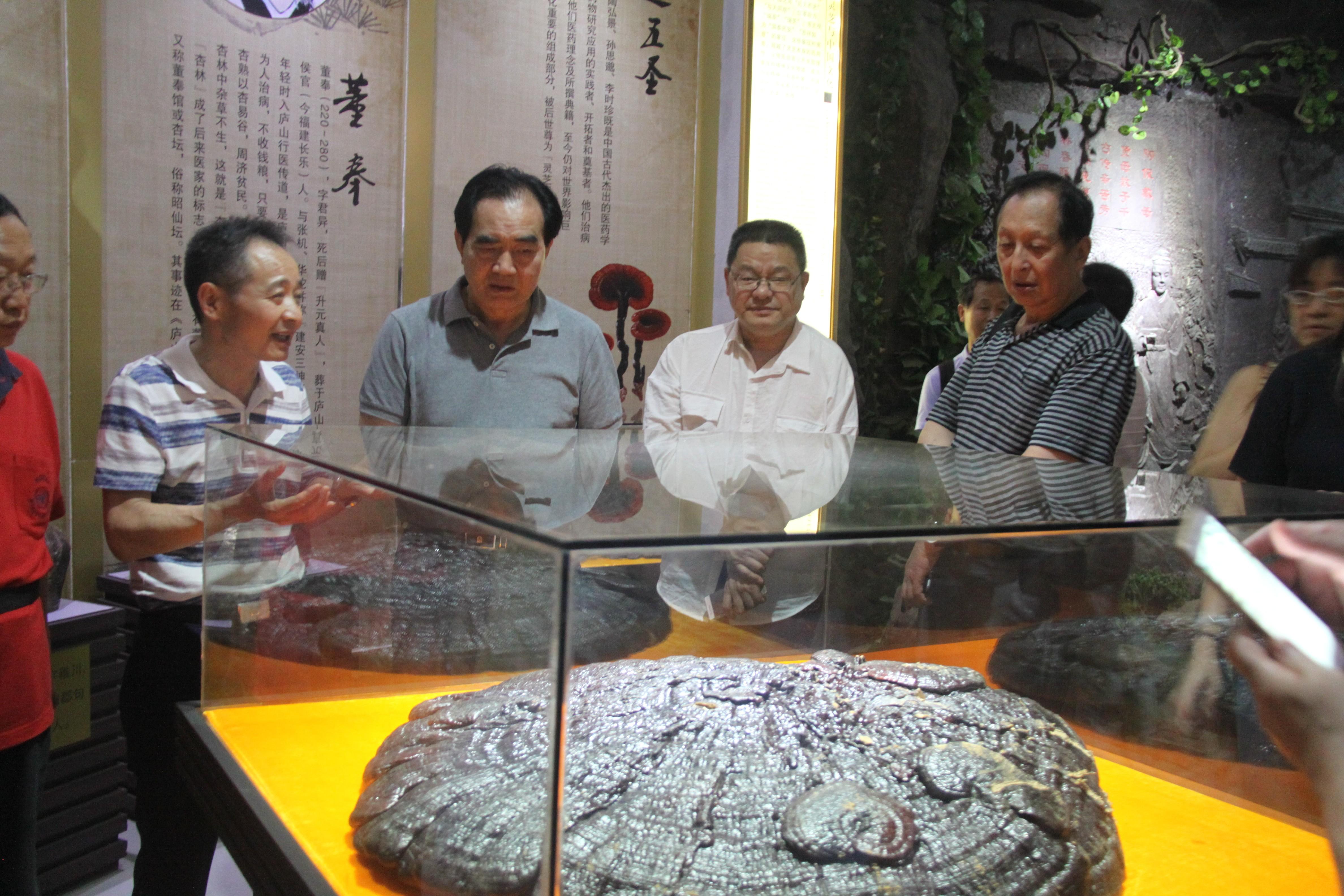 中國(guó)靈芝十大品牌|仙客來(lái)靈芝|仙客來(lái)靈芝破壁孢子粉|仙客來(lái)孢子油|仙客來(lái)靈芝飲片|仙客來(lái)破壁孢子粉|仙客來(lái)靈芝中藥飲片|馳名商標(biāo)|www.stephenmgreenarchives.com|