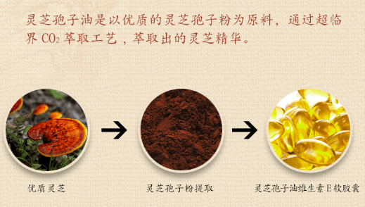 中國靈芝十大品牌|仙客來靈芝|仙客來靈芝破壁孢子粉|仙客來孢子油|仙客來靈芝飲片|仙客來破壁孢子粉|仙客來靈芝中藥飲片|馳名商標|www.stephenmgreenarchives.com|