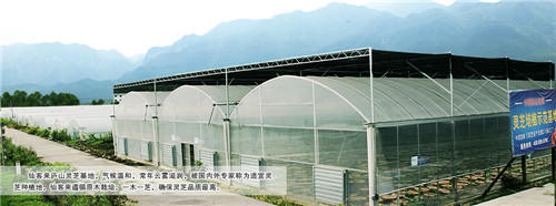 中國靈芝十大品牌|仙客來靈芝|仙客來靈芝破壁孢子粉|仙客來孢子油|仙客來靈芝飲片|仙客來破壁孢子粉|仙客來靈芝中藥飲片|馳名商標|www.stephenmgreenarchives.com|
