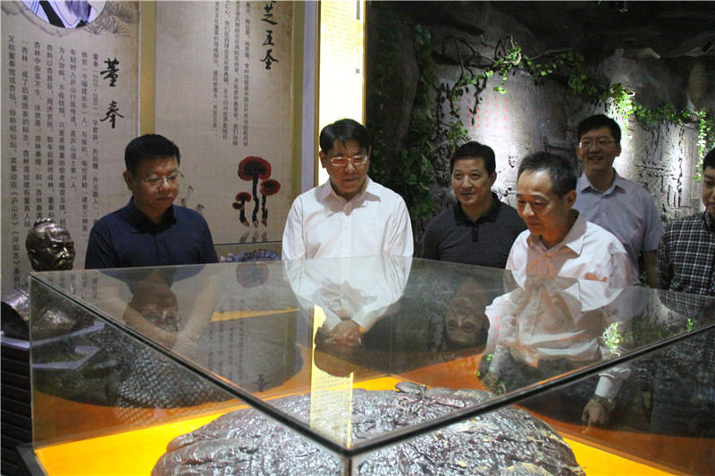中國(guó)靈芝十大品牌|仙客來靈芝|仙客來靈芝破壁孢子粉|仙客來孢子油|仙客來靈芝飲片|仙客來破壁孢子粉|仙客來靈芝中藥飲片|馳名商標(biāo)|www.stephenmgreenarchives.com|
