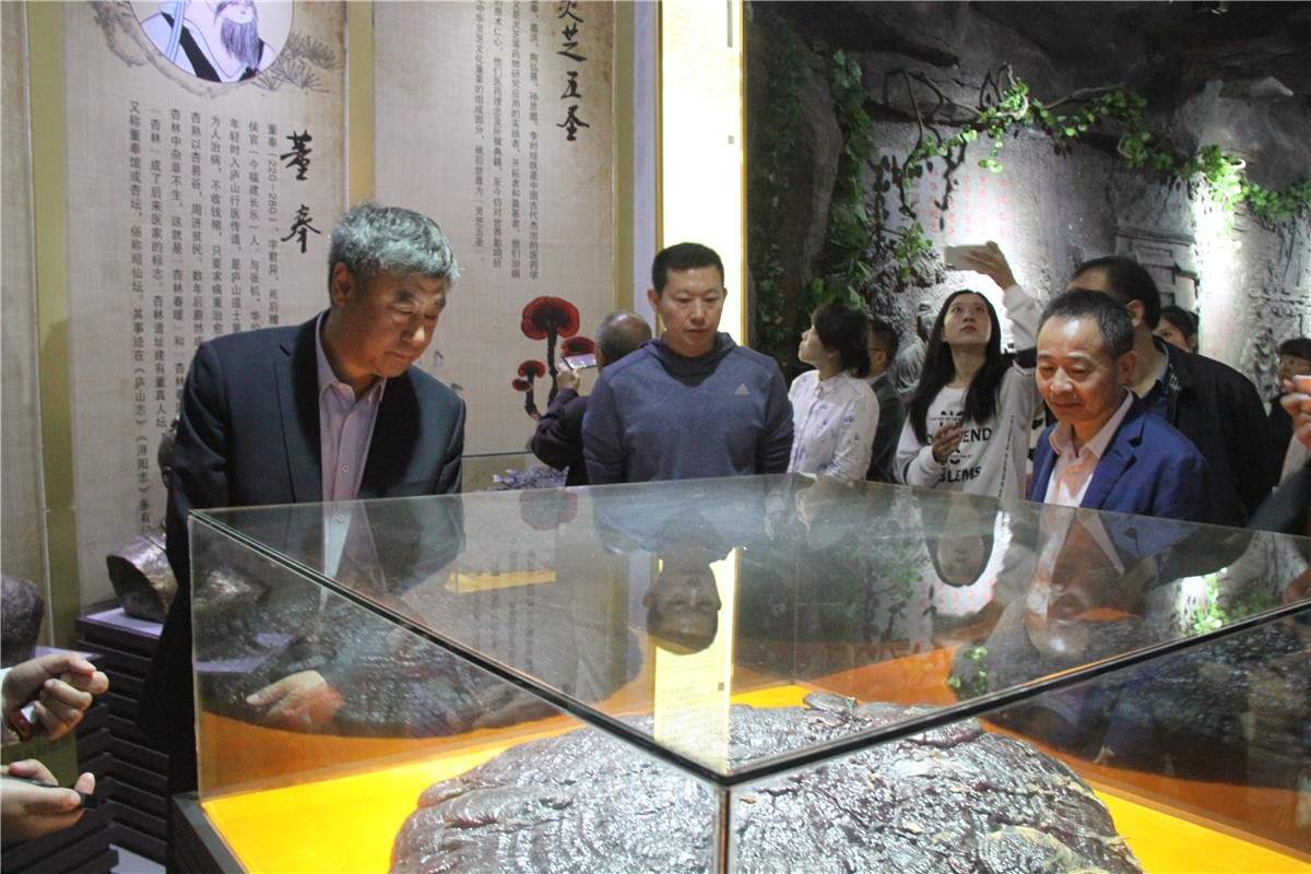 中國靈芝十大品牌|仙客來靈芝|仙客來靈芝破壁孢子粉|仙客來孢子油|仙客來靈芝飲片|仙客來破壁孢子粉|仙客來靈芝中藥飲片|馳名商標|www.stephenmgreenarchives.com|