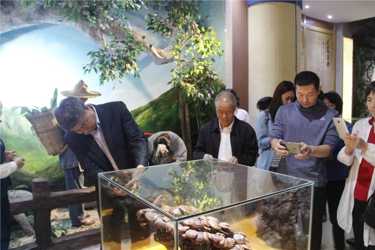 中國靈芝十大品牌|仙客來靈芝|仙客來靈芝破壁孢子粉|仙客來孢子油|仙客來靈芝飲片|仙客來破壁孢子粉|仙客來靈芝中藥飲片|馳名商標|www.stephenmgreenarchives.com|