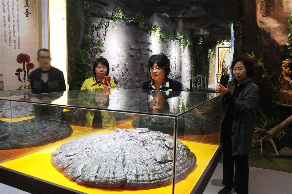 中國靈芝十大品牌|仙客來靈芝|仙客來靈芝破壁孢子粉|仙客來孢子油|仙客來靈芝飲片|仙客來破壁孢子粉|仙客來靈芝中藥飲片|馳名商標(biāo)|www.stephenmgreenarchives.com|