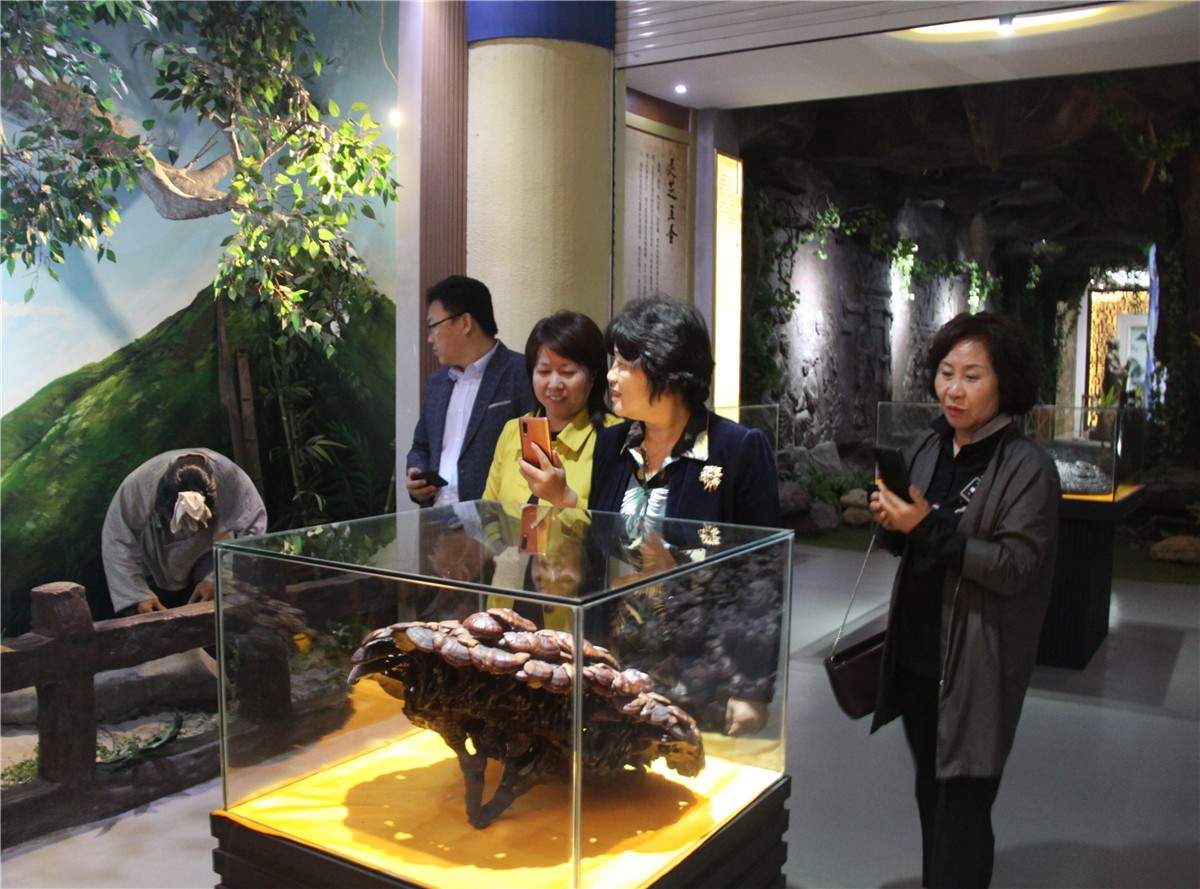 中國靈芝十大品牌|仙客來靈芝|仙客來靈芝破壁孢子粉|仙客來孢子油|仙客來靈芝飲片|仙客來破壁孢子粉|仙客來靈芝中藥飲片|馳名商標(biāo)|www.stephenmgreenarchives.com|