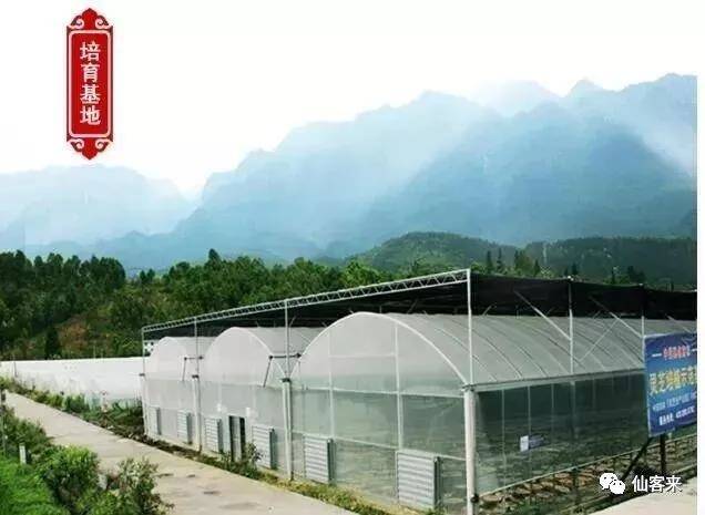 中國靈芝十大品牌|仙客來靈芝|仙客來靈芝破壁孢子粉|仙客來孢子油|仙客來靈芝飲片|仙客來破壁孢子粉|仙客來靈芝中藥飲片|馳名商標(biāo)|www.stephenmgreenarchives.com|