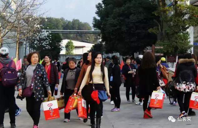 中國靈芝十大品牌|仙客來靈芝|仙客來靈芝破壁孢子粉|仙客來孢子油|仙客來靈芝飲片|仙客來破壁孢子粉|仙客來靈芝中藥飲片|馳名商標(biāo)|www.stephenmgreenarchives.com|