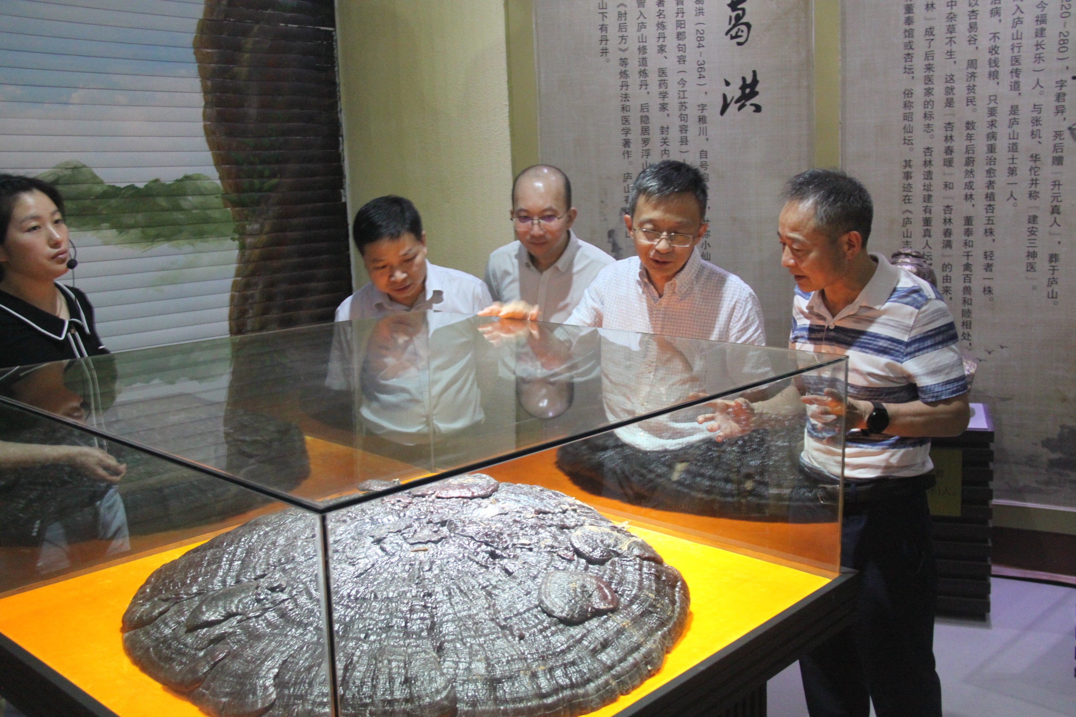 杭州亞運(yùn)會(huì)官方靈芝產(chǎn)品供應(yīng)商|杭州亞運(yùn)會(huì)官方供應(yīng)商|中國靈芝十大品牌|仙客來靈芝|仙客來靈芝破壁孢子粉|仙客來孢子油|仙客來靈芝飲片|仙客來破壁孢子粉|靈芝孢子油|孢子粉|靈芝破壁孢子粉|靈芝|中華老字號(hào)