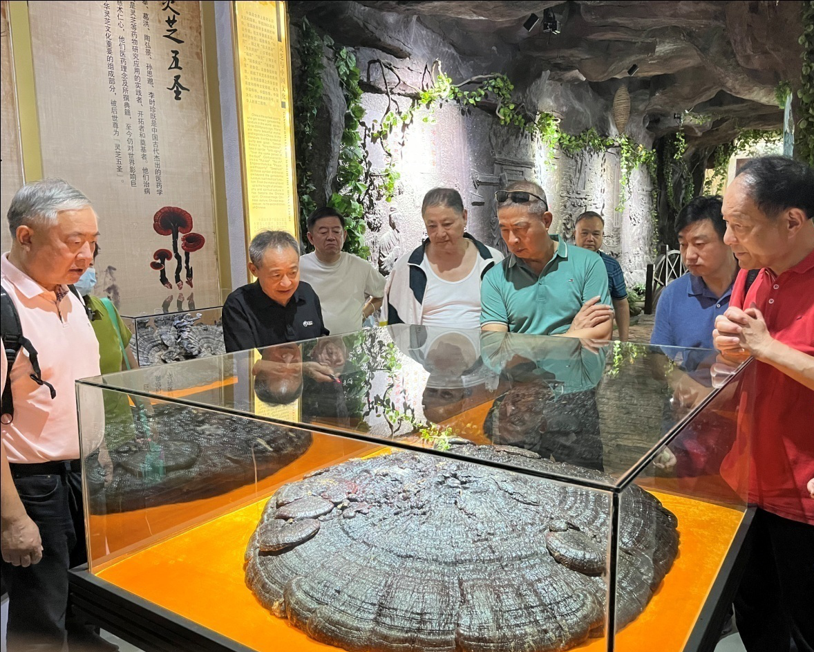 杭州亞運(yùn)會(huì)官方靈芝產(chǎn)品供應(yīng)商|杭州亞運(yùn)會(huì)官方供應(yīng)商|中國靈芝十大品牌|仙客來靈芝|仙客來靈芝破壁孢子粉|仙客來孢子油|仙客來靈芝飲片|仙客來破壁孢子粉|靈芝孢子油|孢子粉|靈芝破壁孢子粉|靈芝|中華老字號