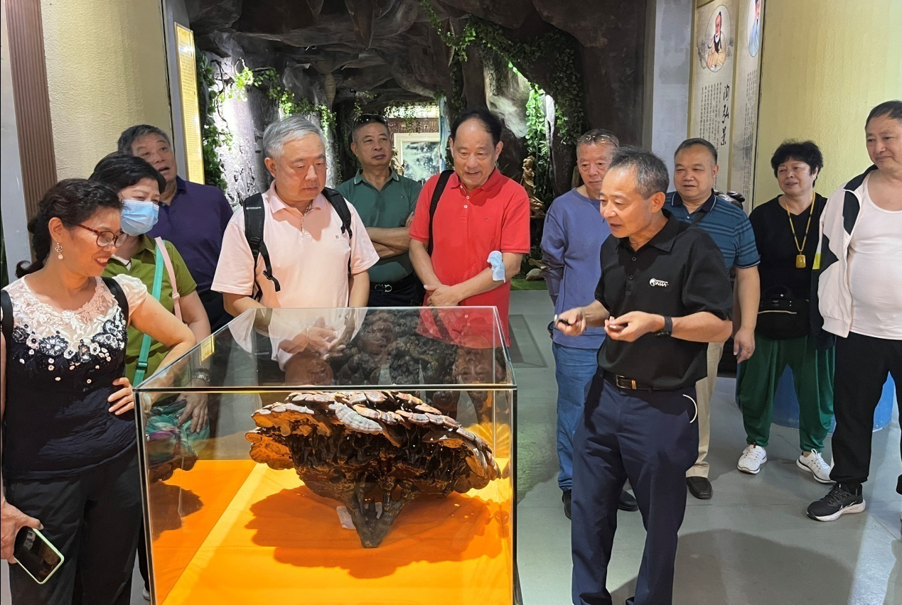 杭州亞運(yùn)會(huì)官方靈芝產(chǎn)品供應(yīng)商|杭州亞運(yùn)會(huì)官方供應(yīng)商|中國靈芝十大品牌|仙客來靈芝|仙客來靈芝破壁孢子粉|仙客來孢子油|仙客來靈芝飲片|仙客來破壁孢子粉|靈芝孢子油|孢子粉|靈芝破壁孢子粉|靈芝|中華老字號