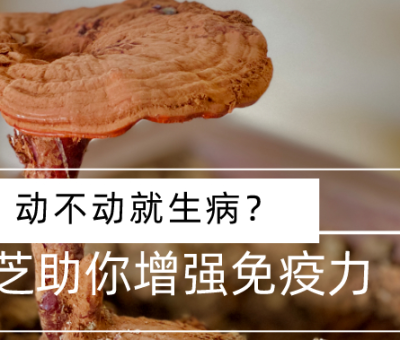 靈芝，預(yù)防您夏季上“火”
